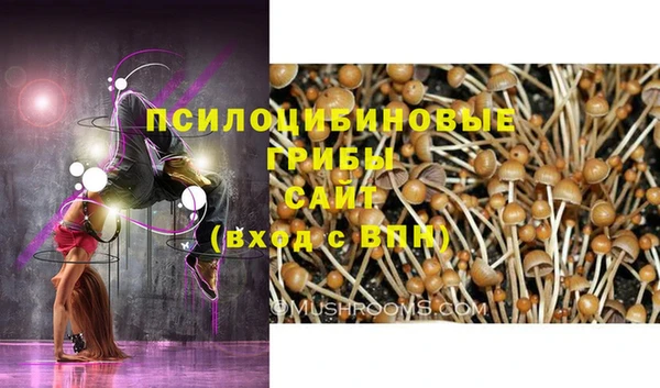 герыч Аркадак