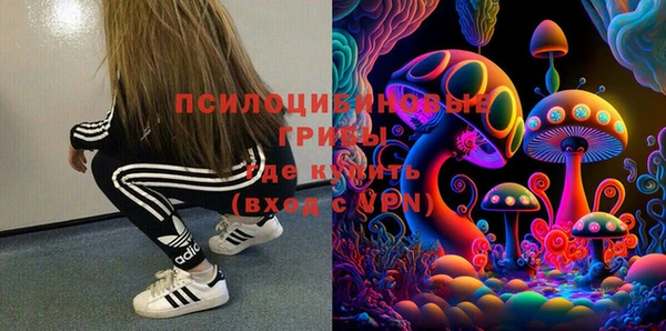 дмт Арсеньев