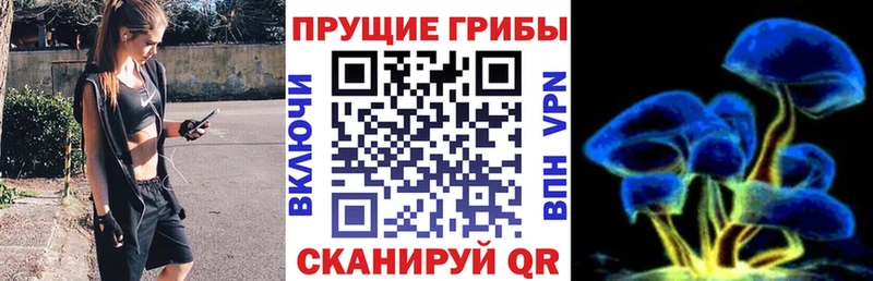 Галлюциногенные грибы прущие грибы  Арсеньев 
